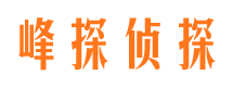 高阳峰探私家侦探公司